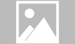 大马配小毛驴视频高清,高清视频背后的温馨故事